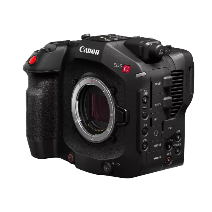 Camcorder Canon C80