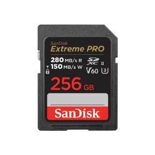 SanDisk