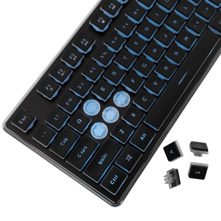 White shark gaming tastatura Tachi US crna