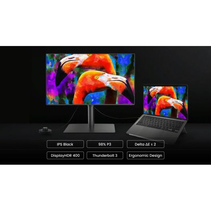 BENQ monitor 32 PD3225U