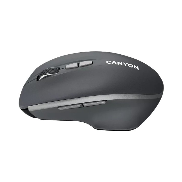 Canyon miš CNS-CMSW21DG wireless