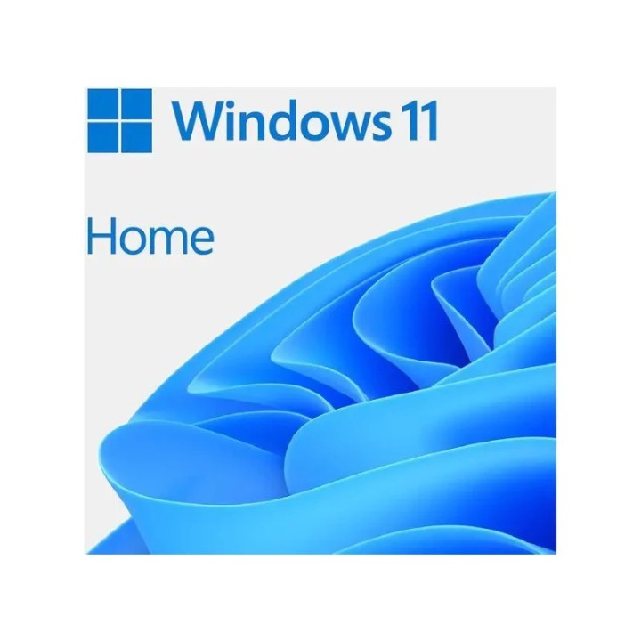 Microsoft Windows 11 Home OEM
