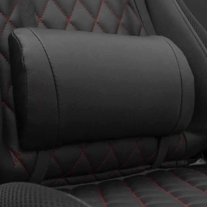 White Shark Gaming Stolica THUNDERBOLT RGB osvjetljenje, crna