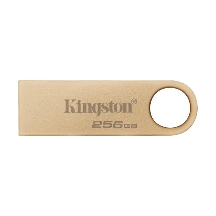 Kingston USB3.2 stick 256GB DTSE9G3/256GB