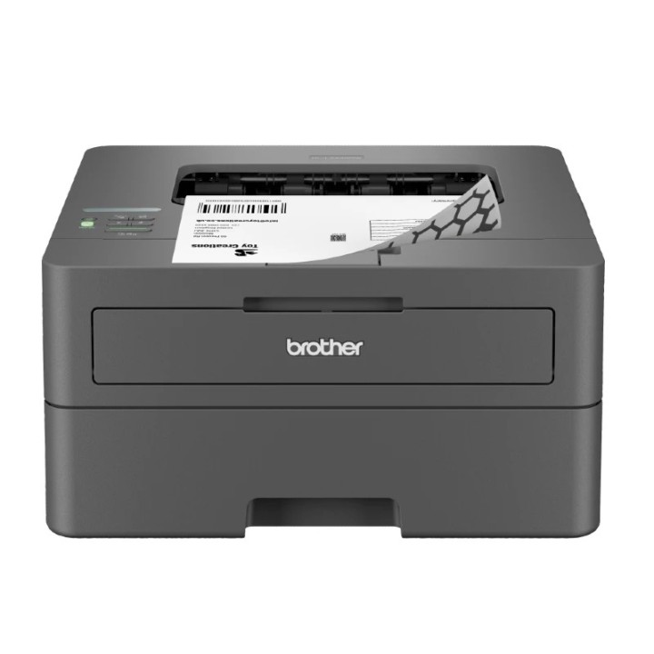 Printer Brother HL-L2442DW