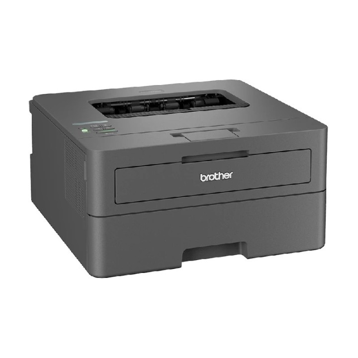 Printer Brother HL-L2442DW