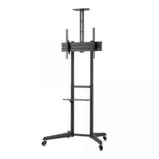 Nosači za TV i projektore